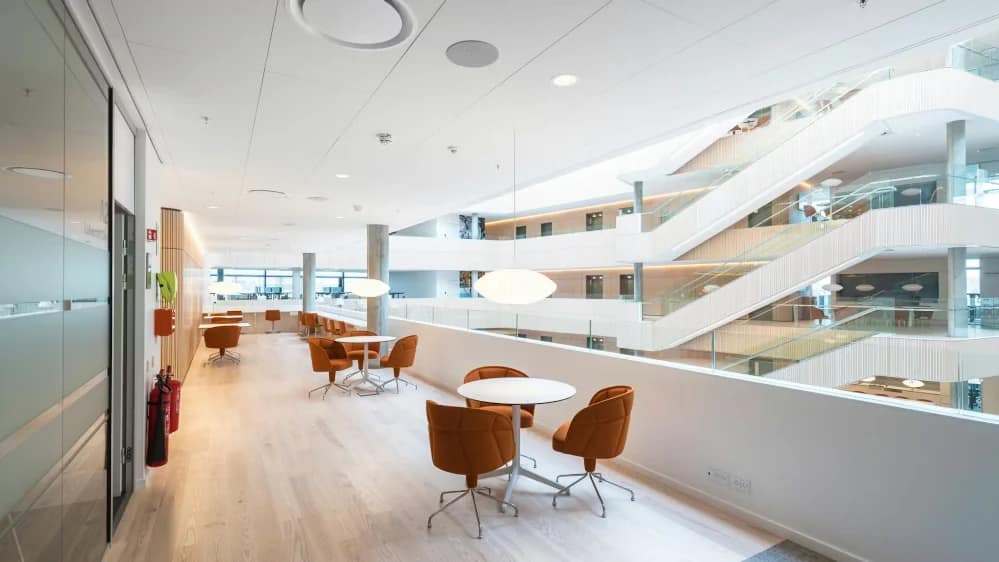 acoustic ceiling tiles Rockfon